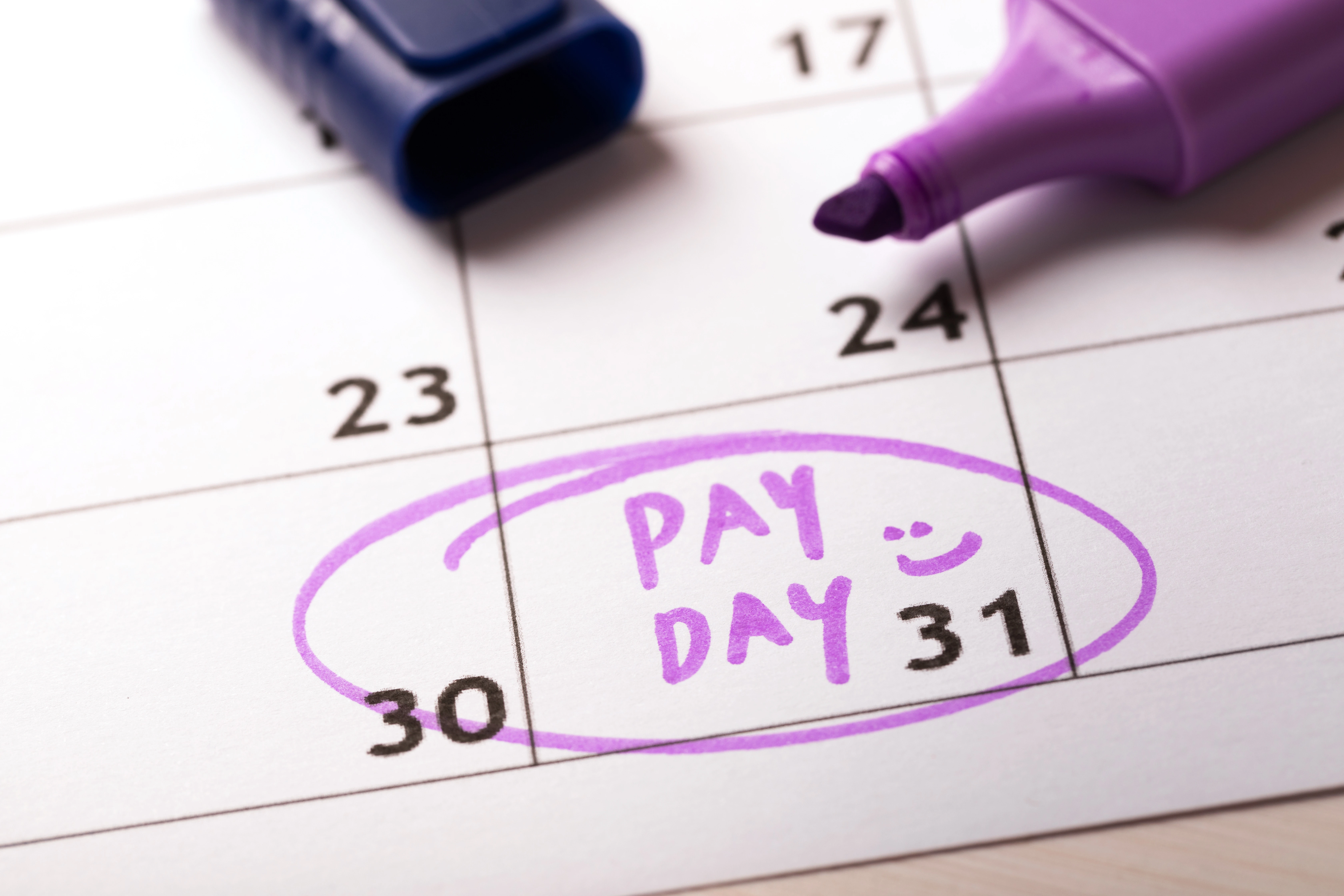 Pay Calculator preview